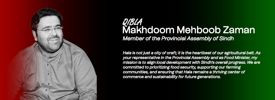 Banner mehboob zaman